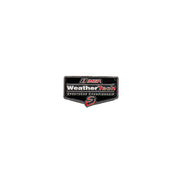 IMSA WeatherTech SportsCar Championship Lapel Pin